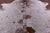 Brown Salt & Pepper Natural Cowhide Rug - Large 6' 9"H x 6' 3"W