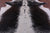 Brown Salt & Pepper Natural Cowhide Rug - XX-Large 8' 1"H x 6' 6"W