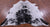 Black Salt & Pepper Natural Cowhide Rug - X-Large 7' 1"H x 6' 6"W