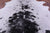 Black Salt & Pepper Natural Cowhide Rug - X-Large 7' 1"H x 6' 6"W