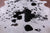 Black Salt & Pepper Natural Cowhide Rug - X-Large 7' 4"H x 6' 5"W