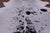 Black Salt & Pepper Natural Cowhide Rug - XX-Large 8' 1"H x 7' 4"W