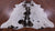 Brown Salt & Pepper Natural Cowhide Rug - X-Large 7' 0"H x 6' 7"W