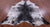 Black Salt & Pepper Natural Cowhide Rug - X-Large 7' 6"H x 6' 11"W