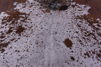 Thumbnail for Brown Salt & Pepper Natural Cowhide Rug - X-Large 7' 3