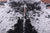 Black Salt & Pepper Natural Cowhide Rug - X-Large 7' 0"H x 6' 4"W