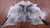 Black Salt & Pepper Natural Cowhide Rug - X-Large 7' 1"H x 6' 6"W