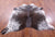 Brown Salt & Pepper Natural Cowhide Rug - X-Large 7' 3"H x 6' 3"W