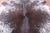 Brown Salt & Pepper Natural Cowhide Rug - X-Large 7' 3"H x 6' 3"W
