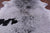 Black Salt & Pepper Natural Cowhide Rug - XX-Large 8' 0"H x 6' 4"W