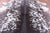 Brown Salt & Pepper Natural Cowhide Rug - X-Large 7' 4"H x 6' 6"W