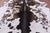 Brown Salt & Pepper Natural Cowhide Rug - X-Large 7' 7"H x 6' 8"W