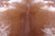 Brown Salt & Pepper Natural Cowhide Rug - Large 6' 10"H x 6' 5"W