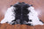 Black Salt & Pepper Natural Cowhide Rug - X-Large 7' 4"H x 6' 5"W
