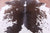 Brown Salt & Pepper Natural Cowhide Rug - X-Large 7' 6"H x 6' 8"W