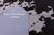 Brown Salt & Pepper Natural Cowhide Rug - X-Large 7' 6"H x 6' 8"W