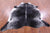 Black Salt & Pepper Natural Cowhide Rug - XX-Large 8' 0"H x 6' 8"W