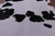 Black & White Natural Cowhide Rug - XX-Large 8' 3"H x 7' 0"W