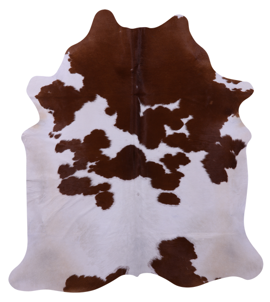 Brown & White Natural Cowhide Rug - X-Large 7' 0"H x 6' 2"W
