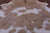 Brown & White Natural Cowhide Rug - X-Large 7' 0"H x 6' 2"W