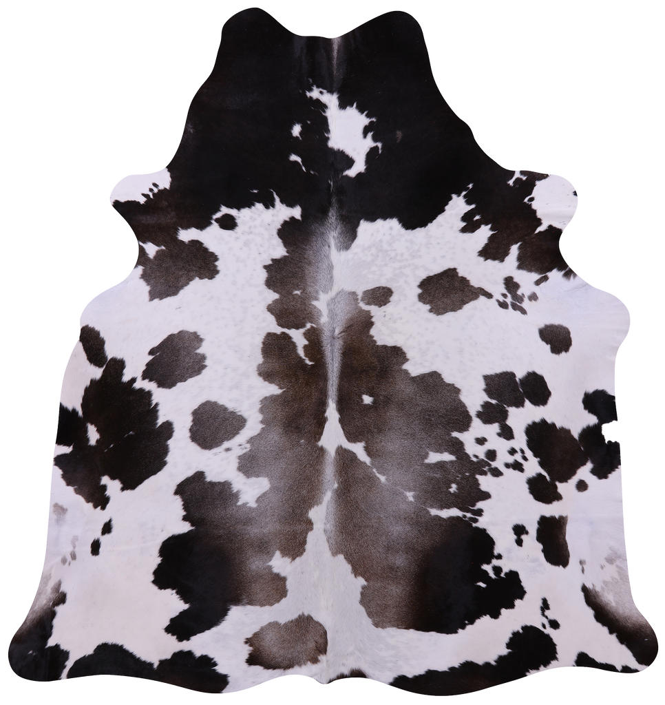 Brown & White Natural Cowhide Rug - X-Large 7' 7"H x 7' 1"W