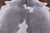 Grey & White Natural Cowhide Rug - XX-Large 7' 10"H x 7' 0"W