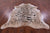 Tiger Animal Print Natural Cowhide Rug - X-Large 7' 6"H x 6' 6"W