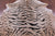 Tiger Animal Print Natural Cowhide Rug - X-Large 7' 6"H x 6' 6"W