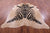 Zebra Animal Print Natural Cowhide Rug - XX-Large 8' 0"H x 6' 9"W