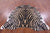 Zebra Animal Print Natural Cowhide Rug - Large 6' 9"H x 6' 5"W