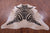 Zebra Animal Print Natural Cowhide Rug - XX-Large 7' 9"H x 6' 10"W