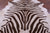 Zebra Animal Print Natural Cowhide Rug - X-Large 7' 0"H x 6' 2"W
