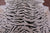 Tiger Animal Print Natural Cowhide Rug - X-Large 7' 3"H x 6' 7"W