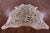 Tiger Animal Print Natural Cowhide Rug - X-Large 7' 2"H x 6' 4"W