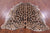 Jaguar Animal Print Natural Cowhide Rug - X-Large 7' 2"H x 6' 0"W