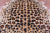 Jaguar Animal Print Natural Cowhide Rug - X-Large 7' 2"H x 6' 0"W