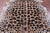 Jaguar Animal Print Natural Cowhide Rug - X-Large 7' 3"H x 5' 10"W