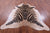 Zebra Animal Print Natural Cowhide Rug - X-Large 7' 7"H x 6' 5"W