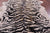 Tiger Animal Print Natural Cowhide Rug - X-Large 7' 4"H x 6' 3"W
