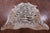 Tiger Animal Print Natural Cowhide Rug - X-Large 7' 1"H x 6' 0"W