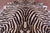 Zebra Animal Print Natural Cowhide Rug - XX-Large 8' 0"H x 6' 10"W