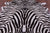 Zebra Animal Print Natural Cowhide Rug - XX-Large 7' 10"H x 6' 6"W