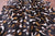 Abstract Printed Natural Cowhide Rug - XX-Large 8' 1"H x 6' 9"W
