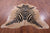 Zebra Animal Print Natural Cowhide Rug - XX-Large 7' 9"H x 6' 9"W