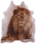 Lion Printed Natural Cowhide Rug - Large 6' 9"H x 5' 8"W