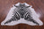 Zebra Animal Print Natural Cowhide Rug - X-Large 7' 3"H x 6' 4"W
