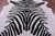 Zebra Animal Print Natural Cowhide Rug - X-Large 7' 3"H x 6' 4"W