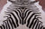 Zebra Animal Print Natural Cowhide Rug - X-Large 7' 0"H x 5' 2"W