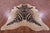 Zebra Animal Print Natural Cowhide Rug - XX-Large 8' 0"H x 6' 10"W