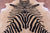 Zebra Animal Print Natural Cowhide Rug - XX-Large 8' 0"H x 6' 10"W